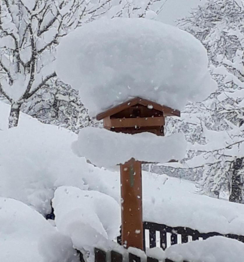 Gruberhof Reith im Alpbachtal Exterior foto